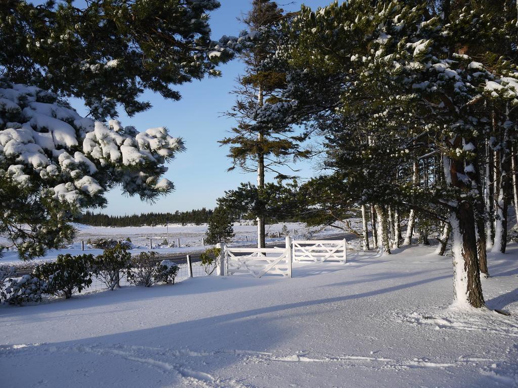Grantown-on-Spey Dava School House Bed & Breakfast エクステリア 写真