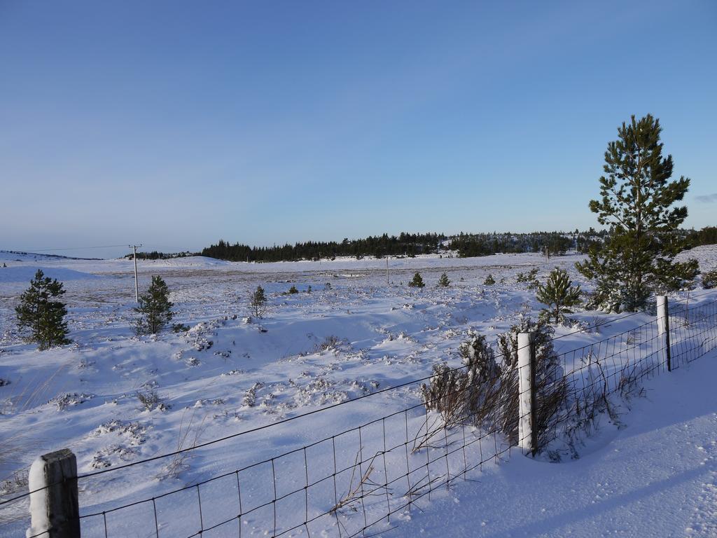 Grantown-on-Spey Dava School House Bed & Breakfast エクステリア 写真