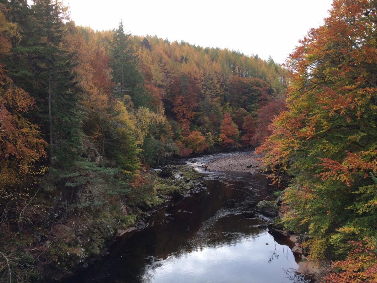 Grantown-on-Spey Dava School House Bed & Breakfast エクステリア 写真