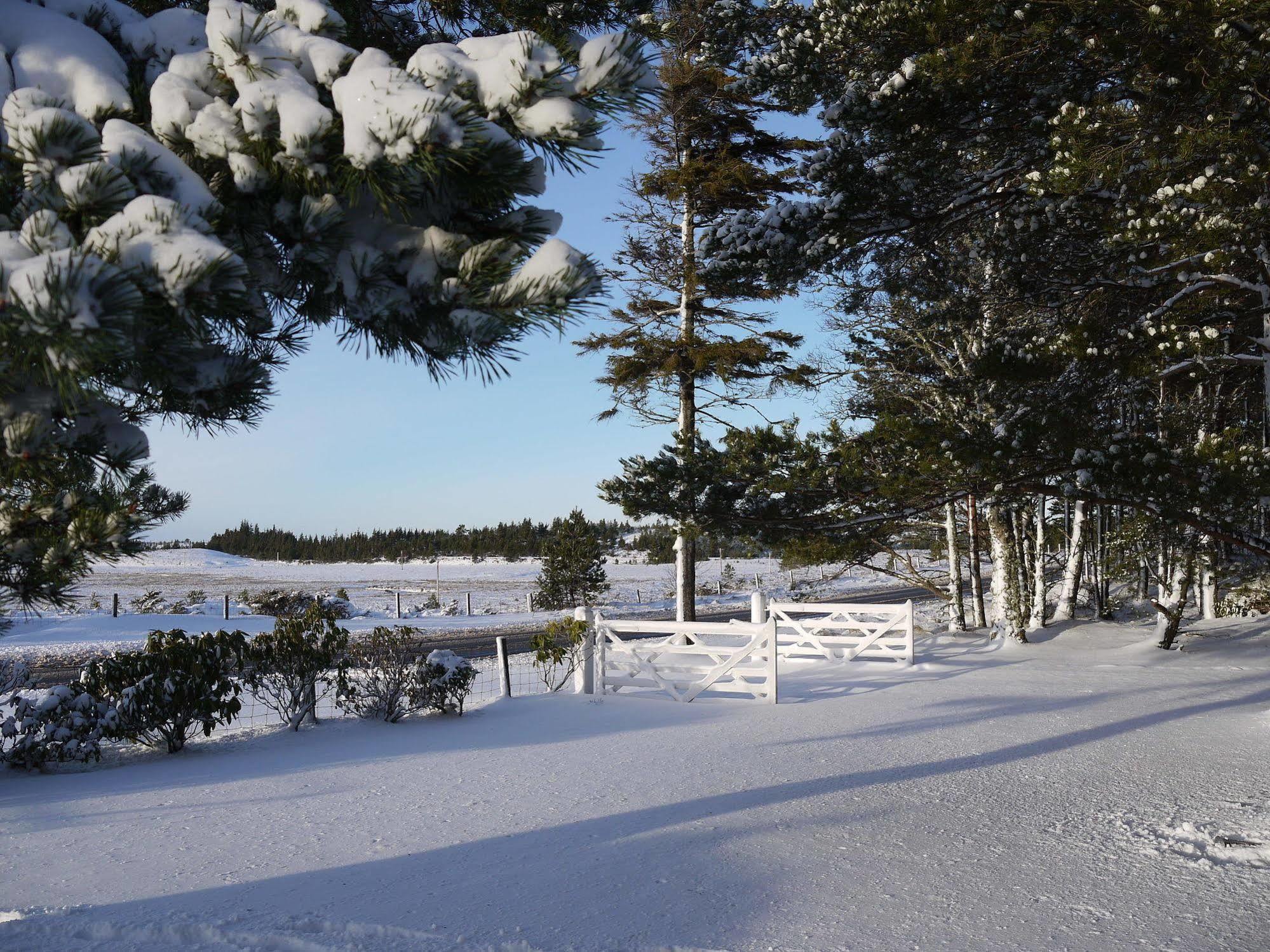 Grantown-on-Spey Dava School House Bed & Breakfast エクステリア 写真